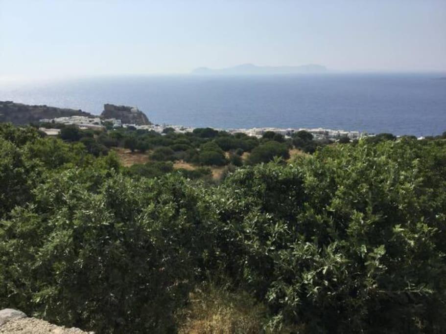 Volcano View Nisyros Appartement *